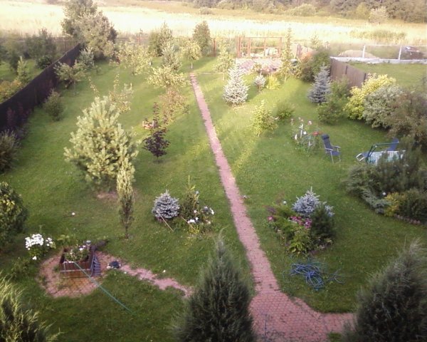Ленинградское шоссе продажа домов в Подмосковье